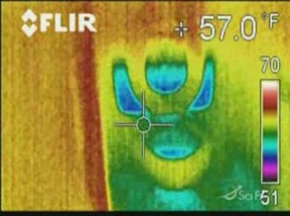 TAPS GHOST HUNTERS S04 Episode 15 3 sur 3