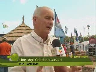 Entrevista Ing. Cristiano Casini INTA Manfredi