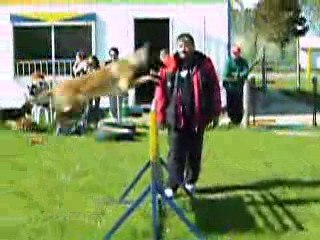 Le plat de doune a calais 003