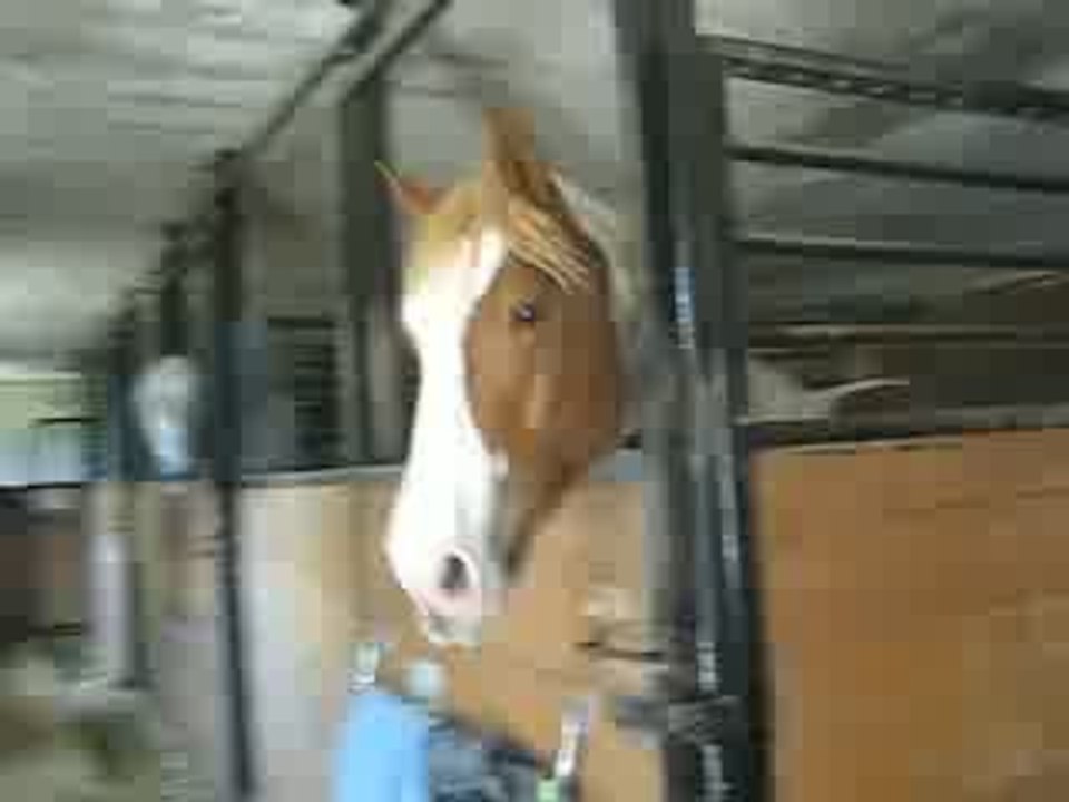 mon Lou à l'heure de la bouffe