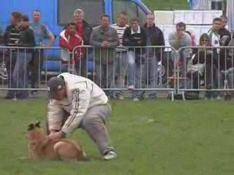 Sélectif ROGEVILLE Jury B - SYDNEY du Domaine d'Orca