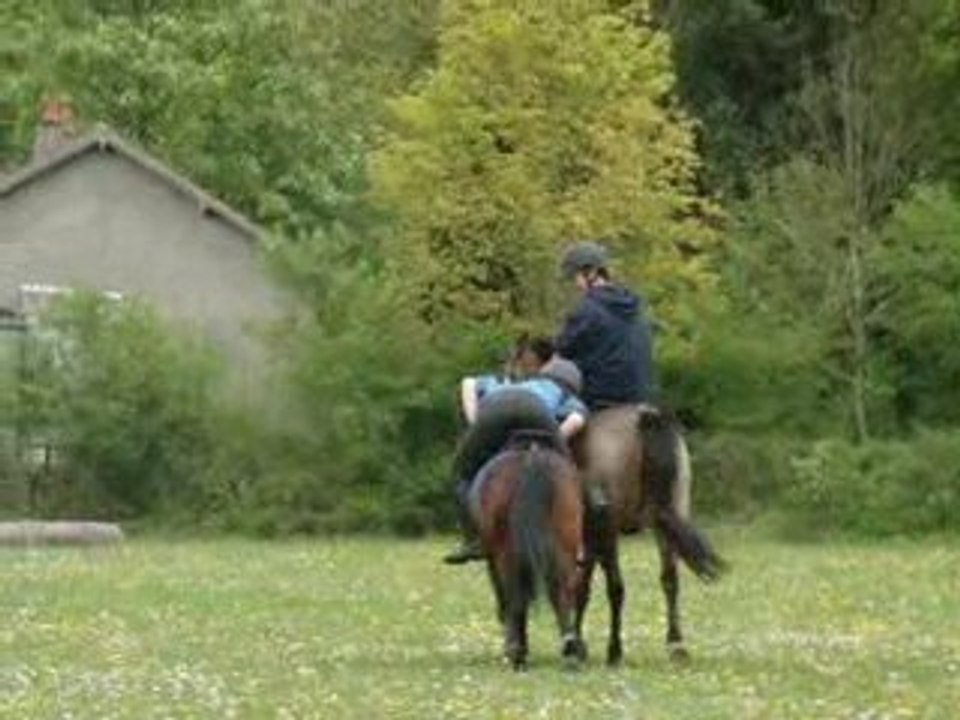 entrainement pony games