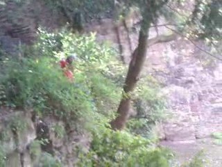 kangourou xav bisounours et aurel