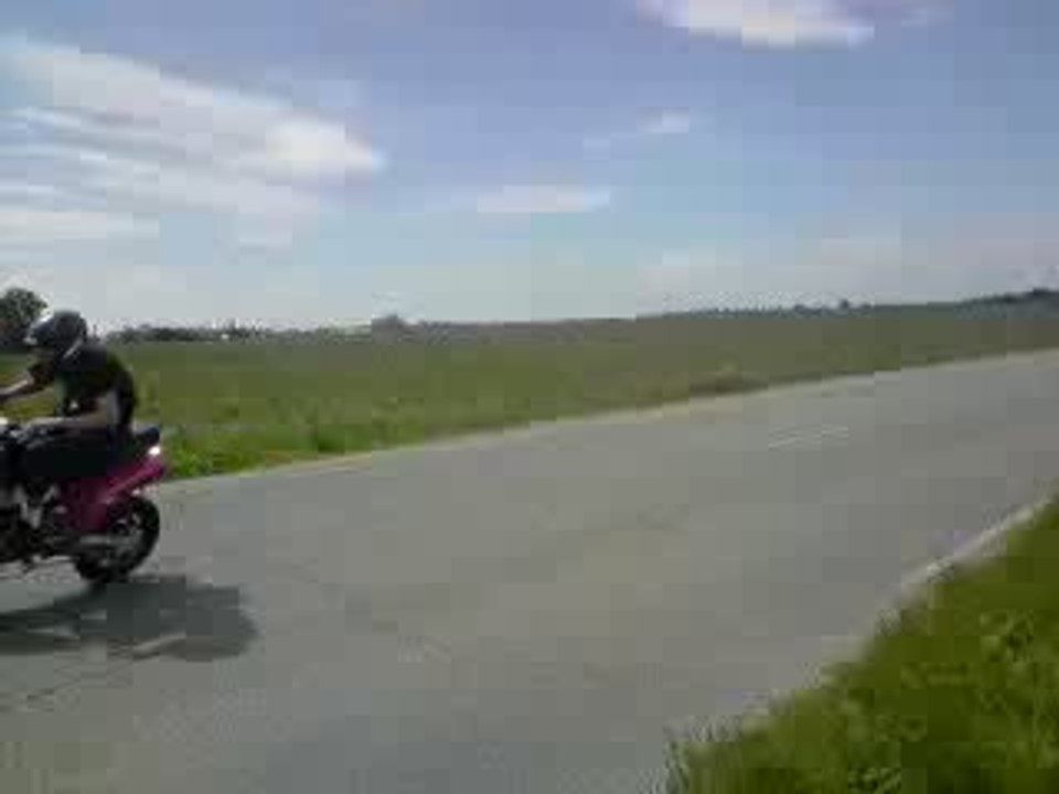 Nico spitro 2