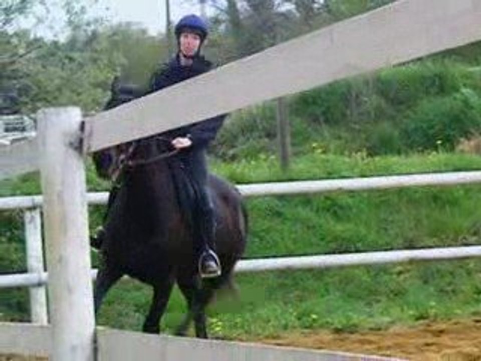moi et javaness