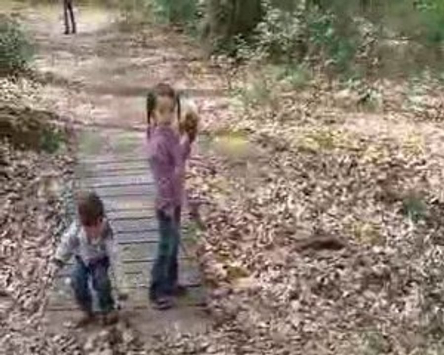 M&Ms dans la forêt