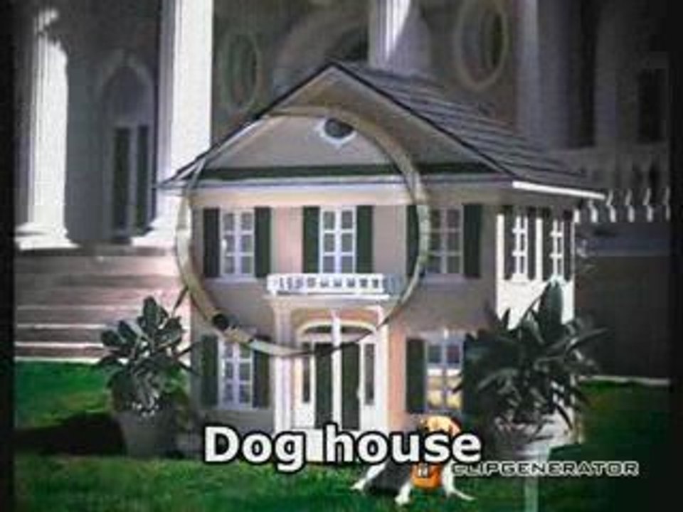 Latest Kennel