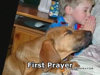 Animal's Expressions