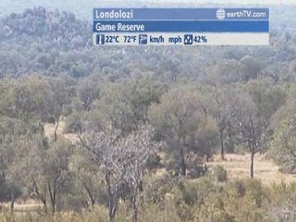 Brussels - Belgium, Munich - Germany, Saint-Malo - France, Londolozi - South Africa, Avignon - France, Manila - Philippines, Dubrovnik - Croatia