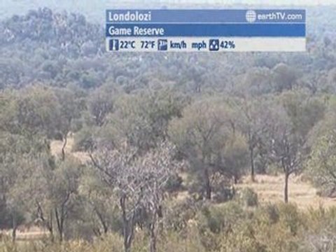 Brussels - Belgium, Munich - Germany, Saint-Malo - France, Londolozi - South Africa, Avignon - France, Manila - Philippines, Dubrovnik - Croatia