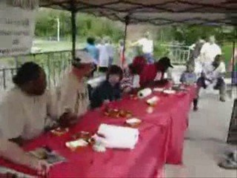 Spring Wing Fling