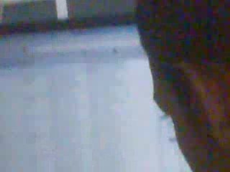 MEETI London Tamil 2009 batch