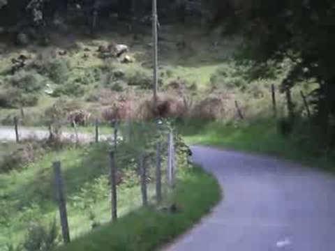 rally moto corse 2009