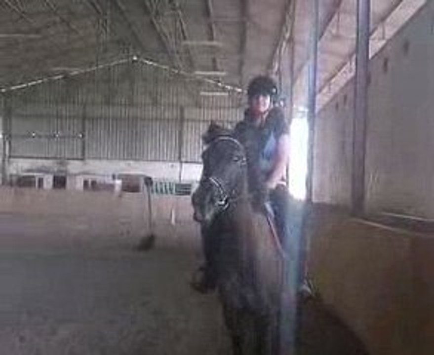 Mouvette && Sirine en Dressage