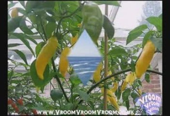 Chichester, West Sussex (UK)