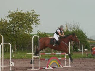 Challenge CSO 19 avril