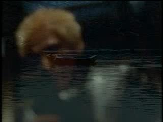 Move - Rage Your Dream