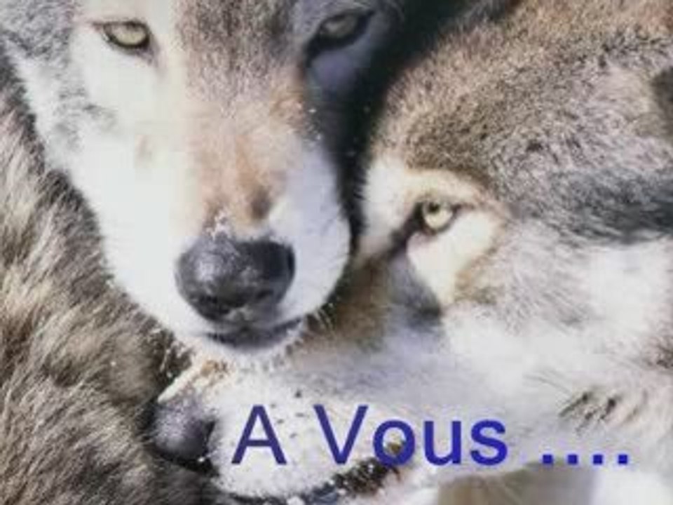 ♥ Merci ♥