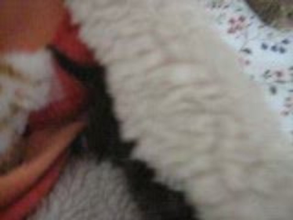 MVI_8773