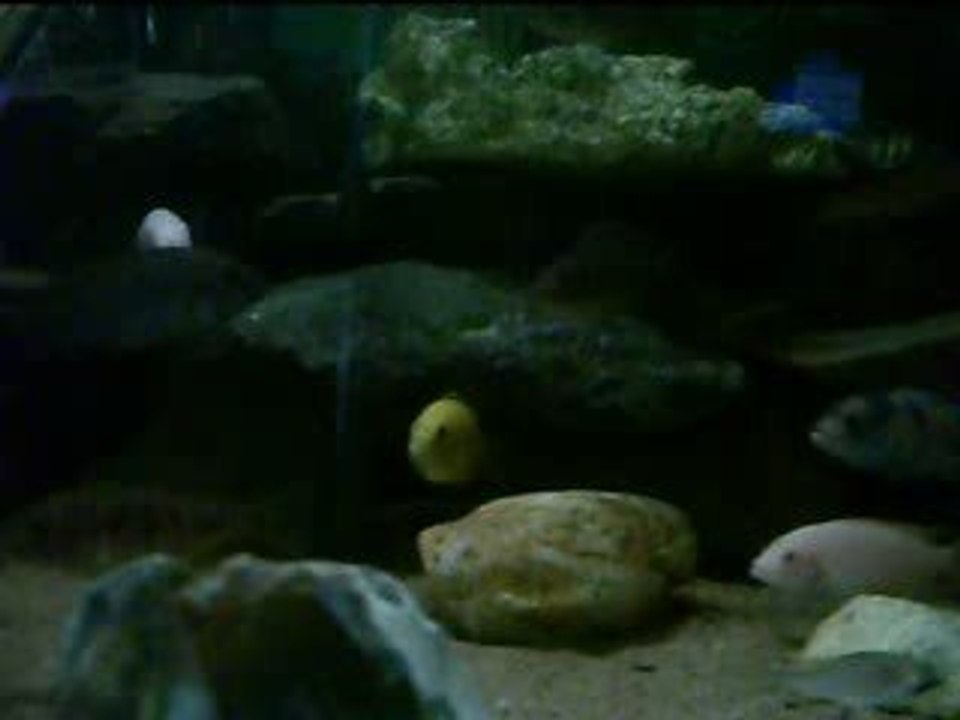 PICT0007