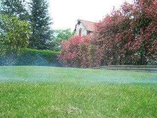 Savage 8X8X8 premier tour de roue en rodage