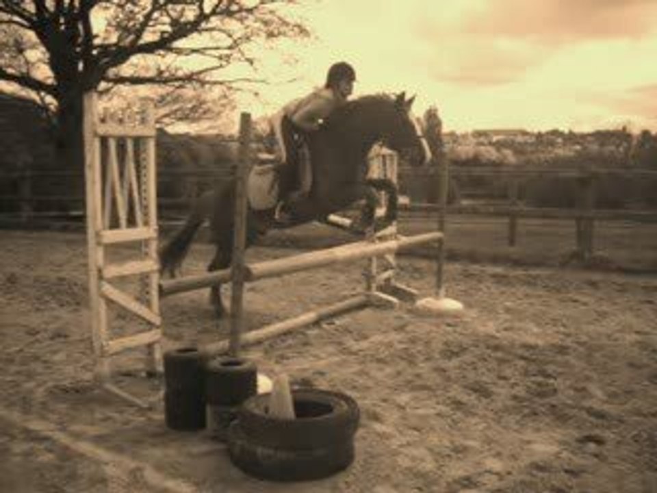 Emma et Nuget's cso