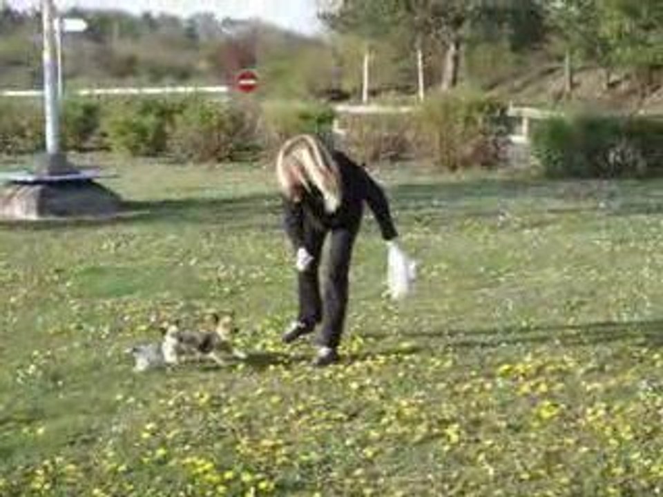 ARRET PIPI POUR VEGAS ET DAISY