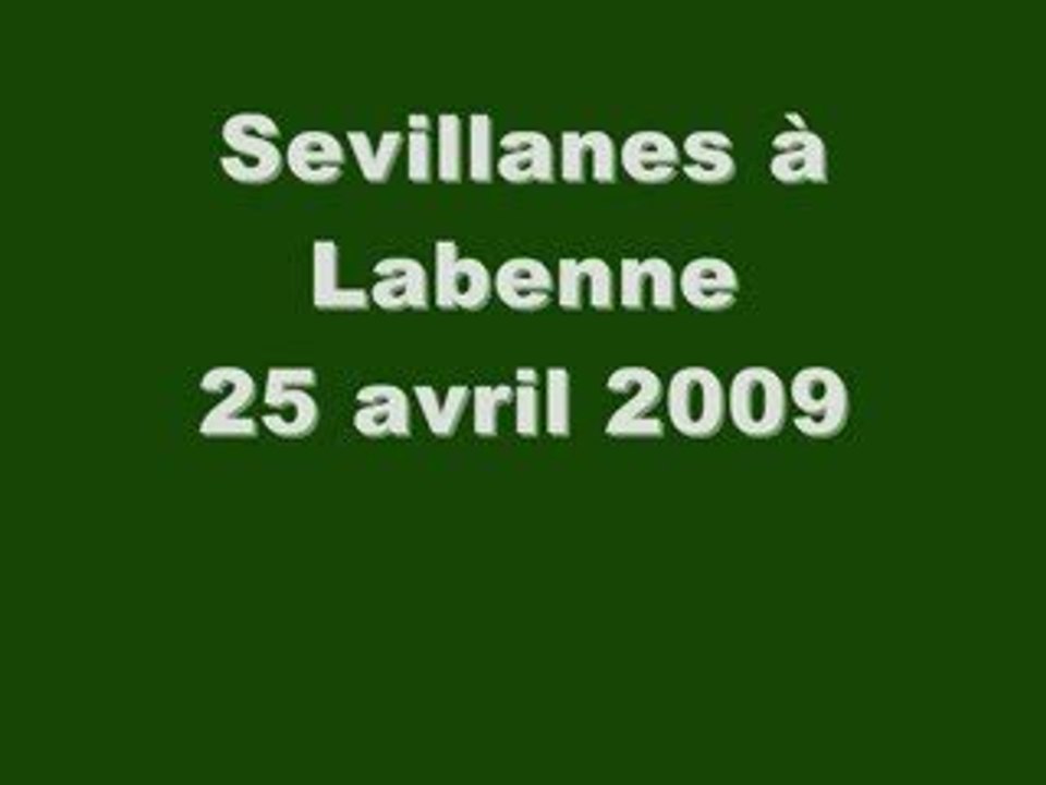 Sevillanes à Labenne ' le Relais" - 25 avril 2009