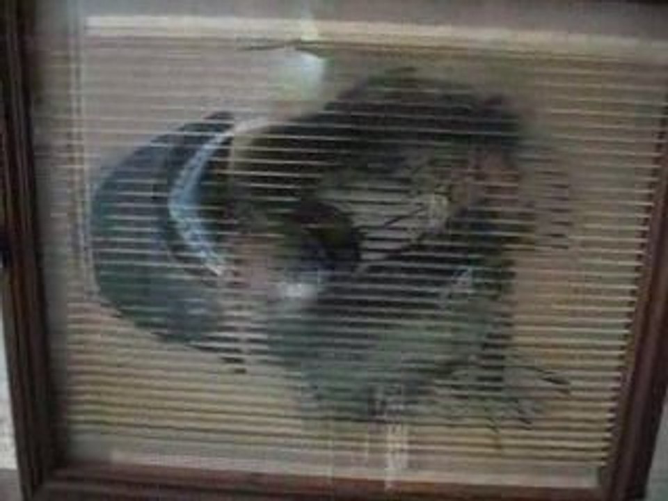 Lan perpignan argeles 045