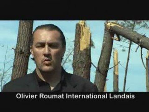 Relevons la forêt des Landes - 25avril