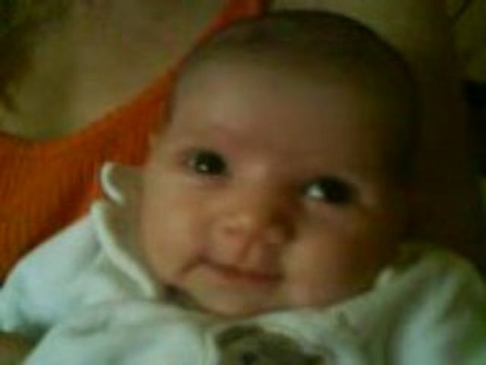 rose 2