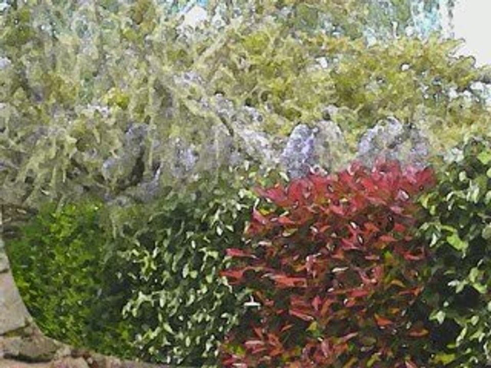 Jardin