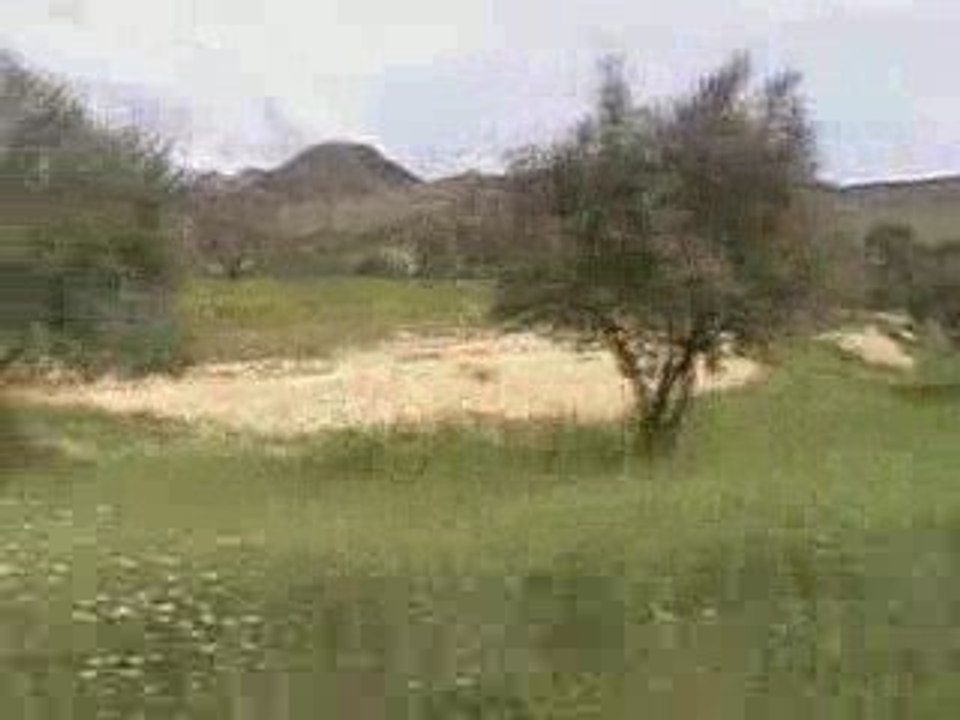 takfarinas &Aymazighan&