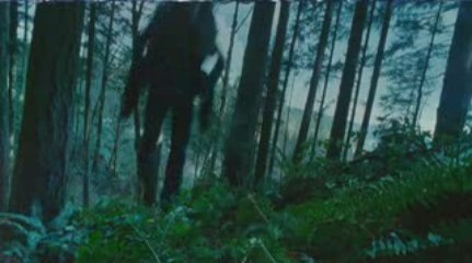 TV Spot
