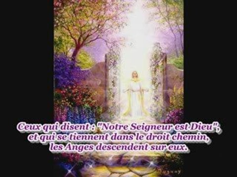 Sourate 41 Les versets détaillés récitée par Sahl Yassin