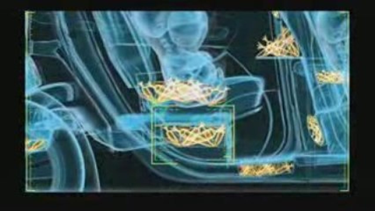 LES LAPINS CRETINS TEST DU GRAND SCENIC TEST 04