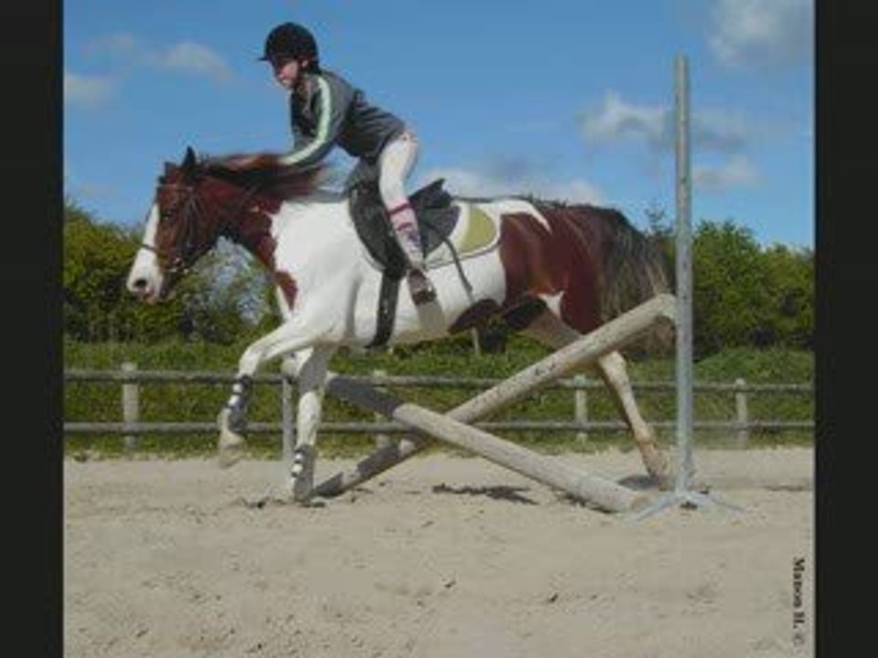 Cours de saut ~ Pauline & Habanera / Pardo & Yannis