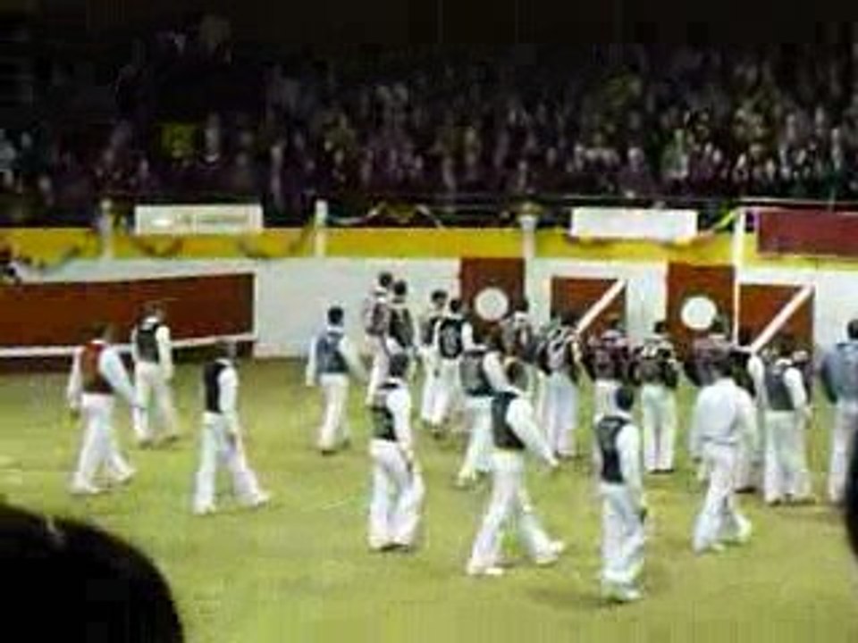 Festival art et courage de pomarez 2009