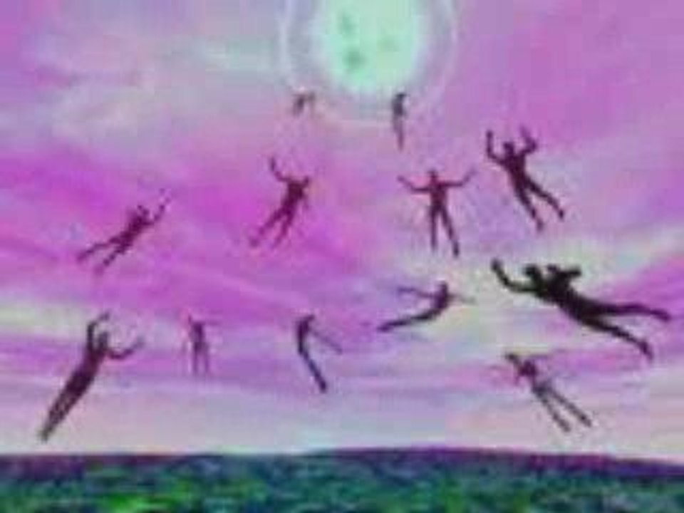 A whiter shade of pale par Cat