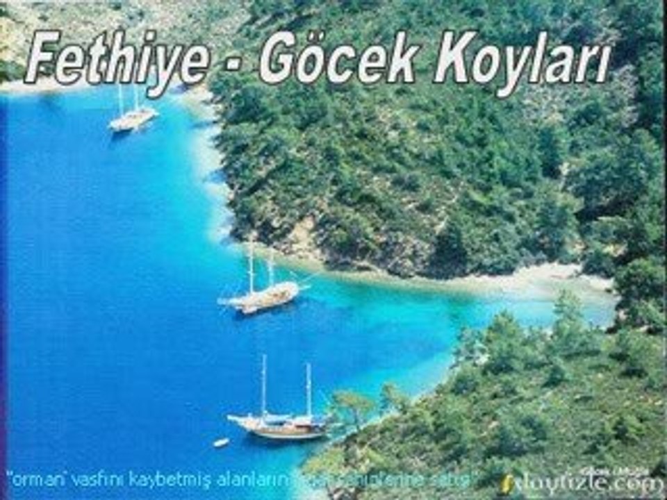 Koylar hepimizin