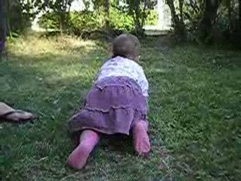 à la découverte du jardin