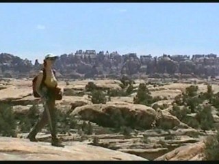 Canyonland the Needles