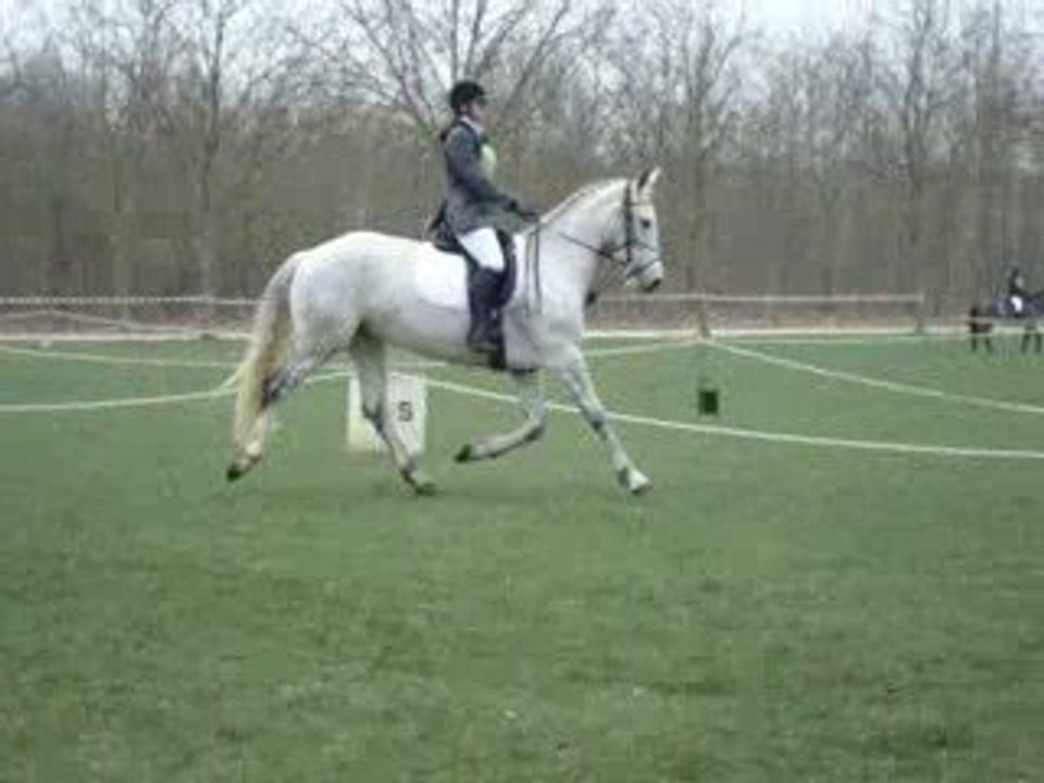 Concours Vincennes - 22.03.09 - Dressage