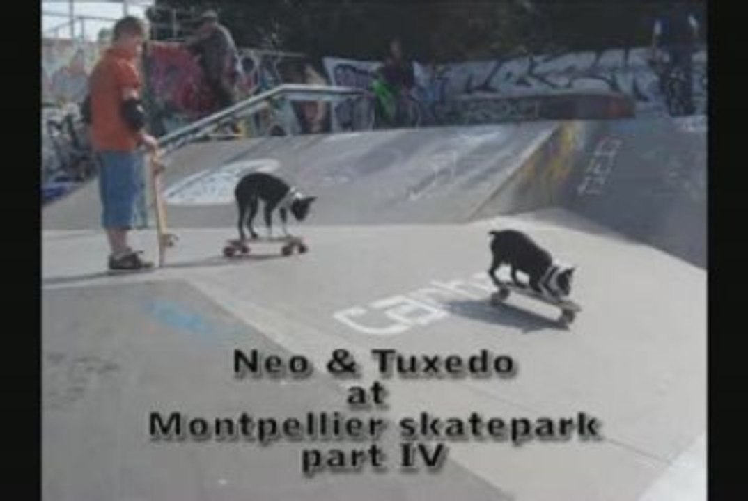 Neo & Tuxedo At Montepllier skatepark Part IV