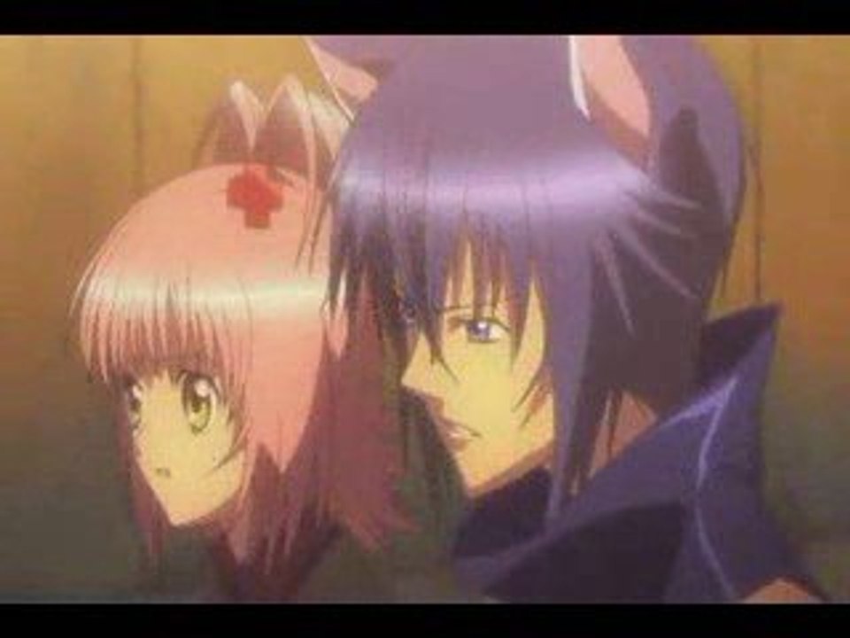 Shugo Chara - Amu x Ikuto