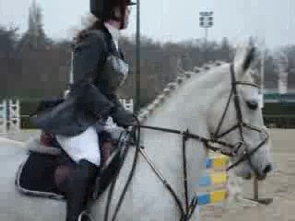 Concours Vincennes - 22.03.09 - CSO
