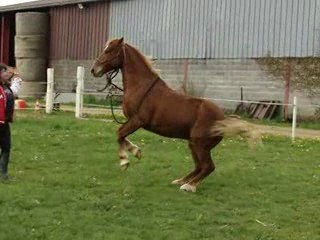 Stick to me + bidons + cabré