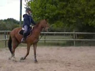 Titi et MA au trot
