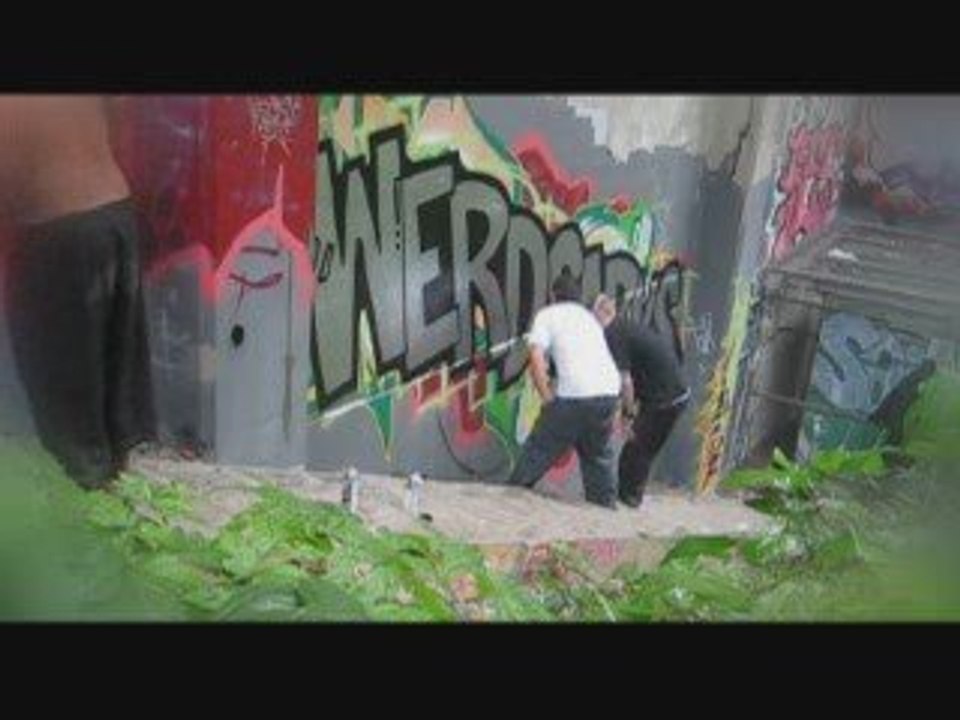 Graffiti #11 - POS "the bridge is over" - ZARK, FUROS, WERD,