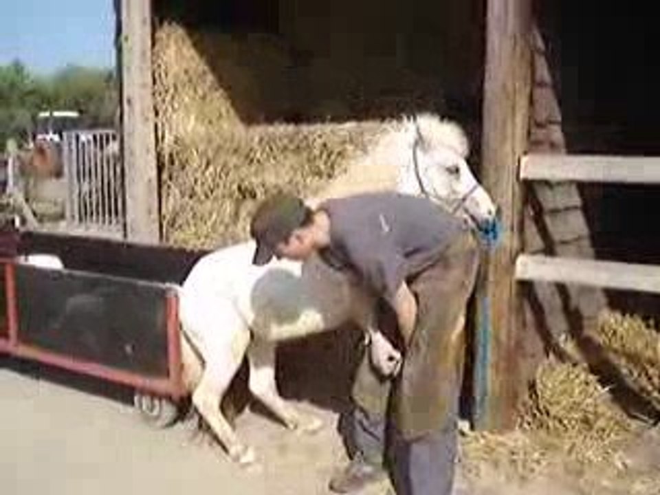 blue petit monstre avec le maréchal